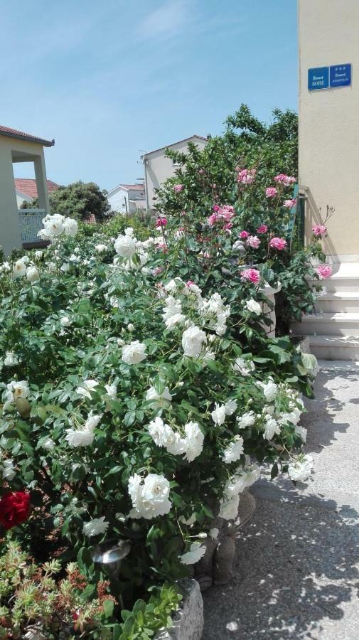 מרינה Apartments Racetin מראה חיצוני תמונה